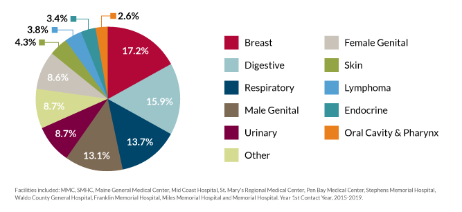 chart illustrating the percentages of cases by type of cancer diagnosis