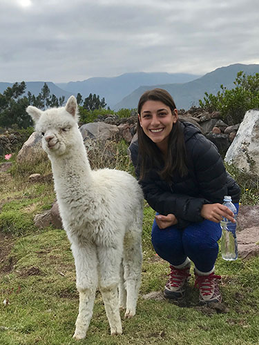 A young woman crouched beside a white llama