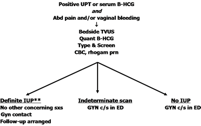 transvaginal ultrasound clinical pathway