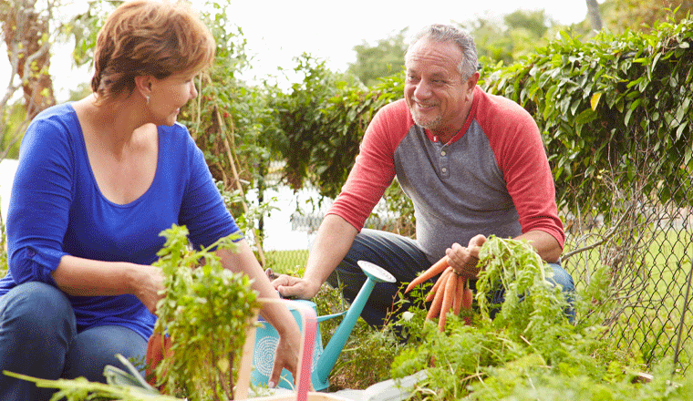Two adults smile while gardening