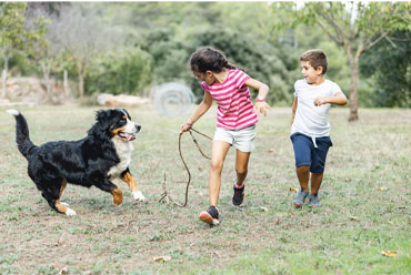 Two children running in a field with their dog