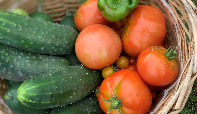 A basket of tomatoes, cucumbers and peppers sits in the grass