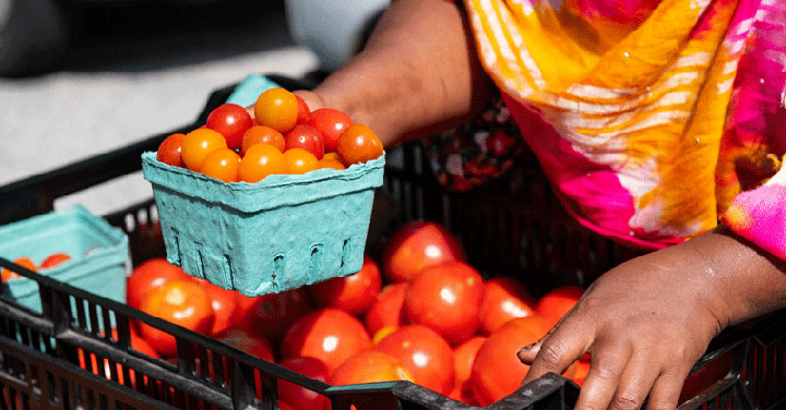 Close-up of a pair of women's hands holding crates of tomatoes
